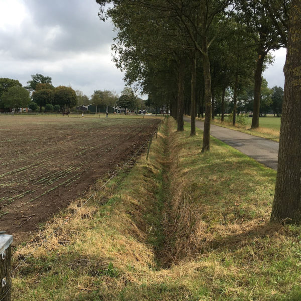 Nieuwe Bodem - duurzaam circulair biodivers agrobosbouw 1