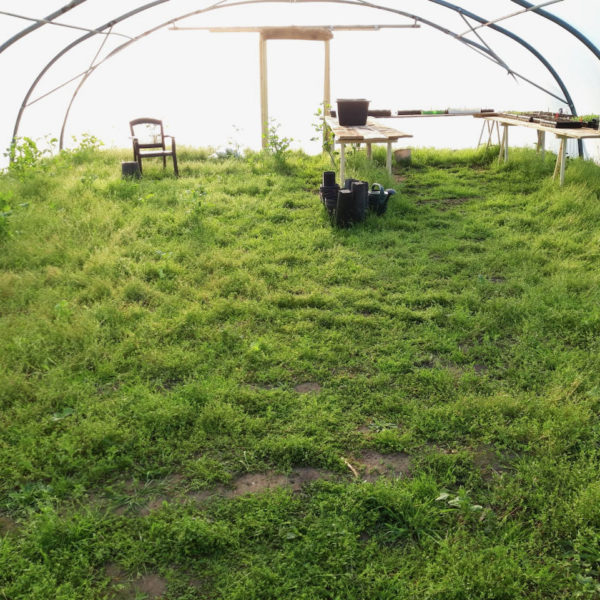 Nieuwe Bodem - duurzaam circulair biodivers agrobosbouw 130