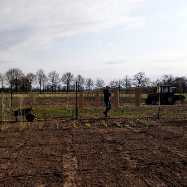 Nieuwe Bodem - duurzaam circulair biodivers agrobosbouw 131