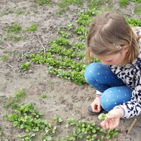 Nieuwe Bodem - duurzaam circulair biodivers agrobosbouw 134