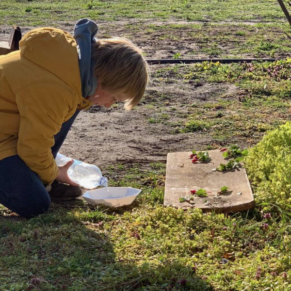 Nieuwe Bodem - duurzaam circulair biodivers agrobosbouw 148