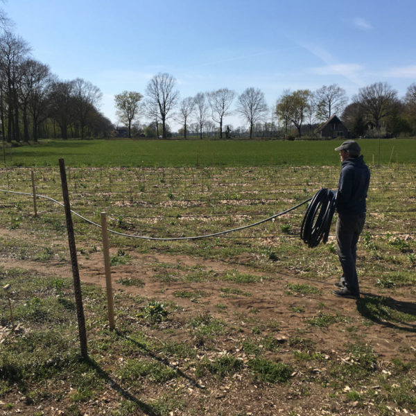 Nieuwe Bodem - duurzaam circulair biodivers agrobosbouw 154