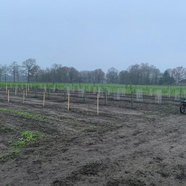 Nieuwe Bodem - duurzaam circulair biodivers agrobosbouw 26