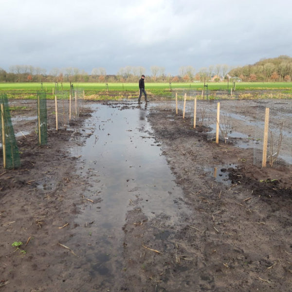 Nieuwe Bodem - duurzaam circulair biodivers agrobosbouw 44