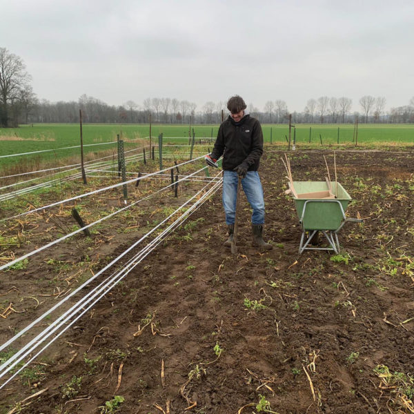 Nieuwe Bodem - duurzaam circulair biodivers agrobosbouw 51