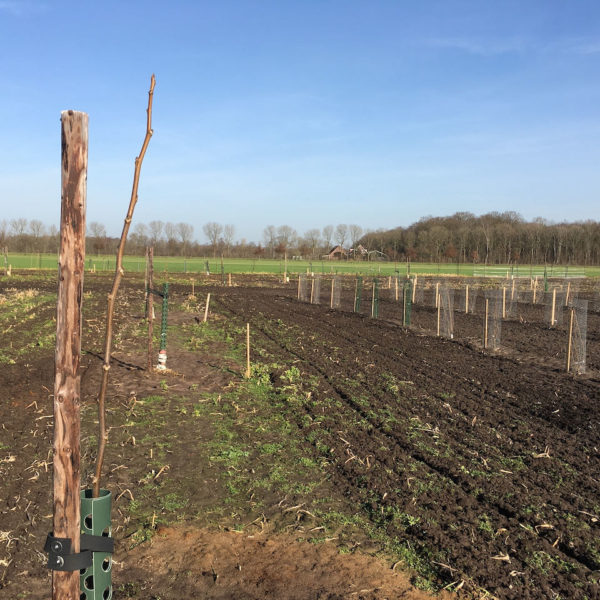 Nieuwe Bodem - duurzaam circulair biodivers agrobosbouw 59