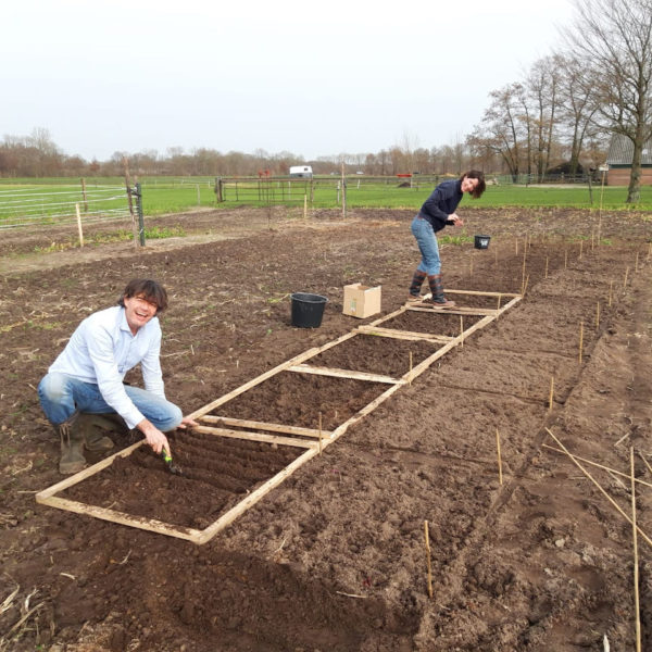 Nieuwe Bodem - duurzaam circulair biodivers agrobosbouw 76