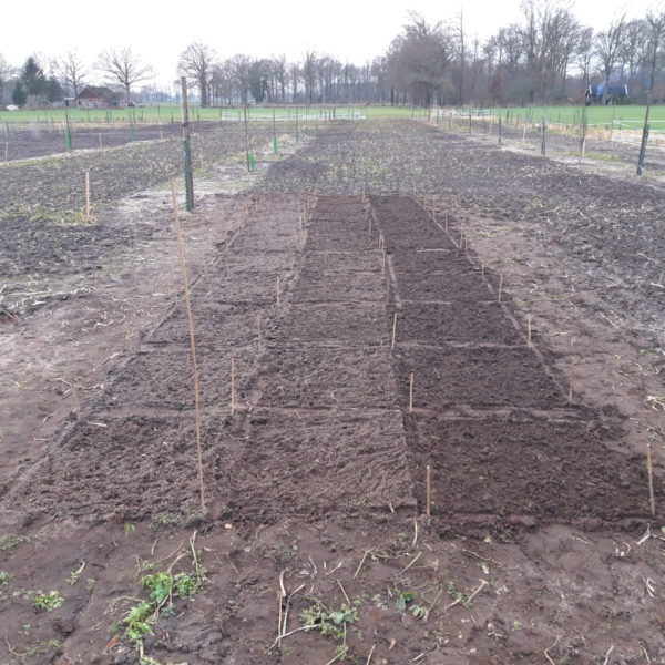 Nieuwe Bodem - duurzaam circulair biodivers agrobosbouw 77