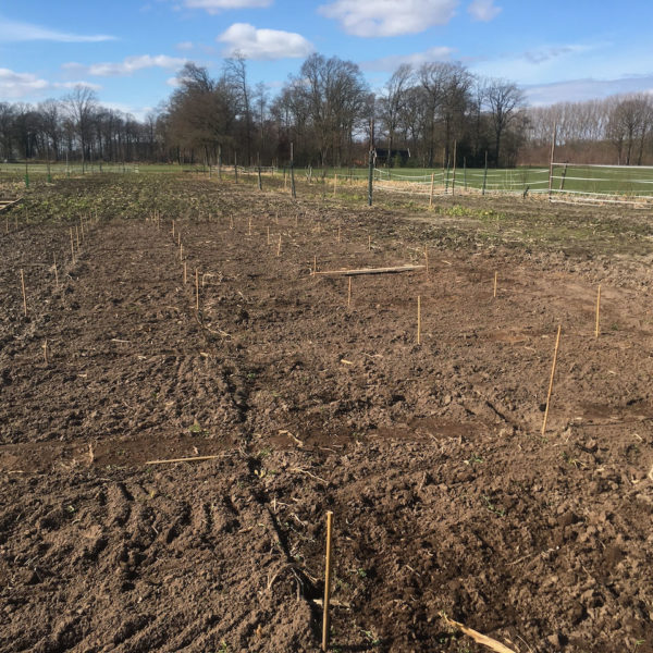 Nieuwe Bodem - duurzaam circulair biodivers agrobosbouw 80