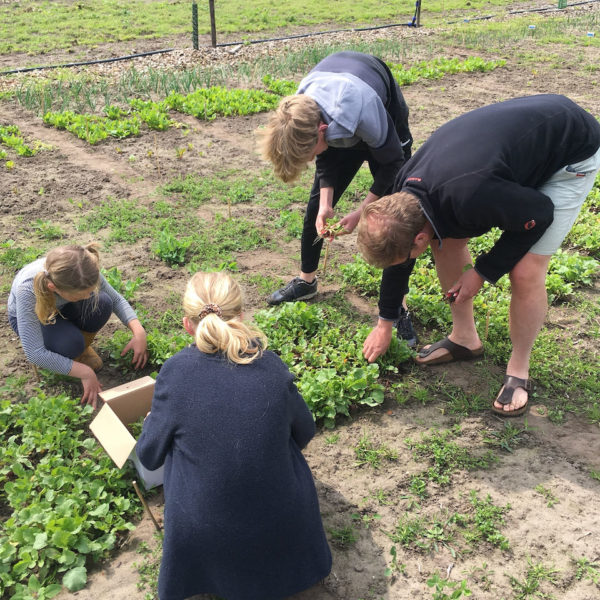 Nieuwe Bodem - duurzaam walnoten hazelnoten biodiversiteit agrobosbouw 175