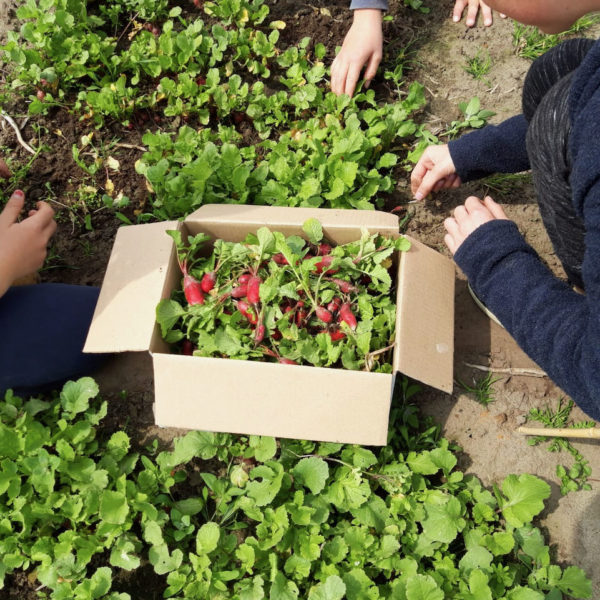 Nieuwe Bodem - duurzaam walnoten hazelnoten biodiversiteit agrobosbouw 180