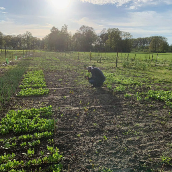 Nieuwe Bodem - duurzaam walnoten hazelnoten biodiversiteit agrobosbouw 187