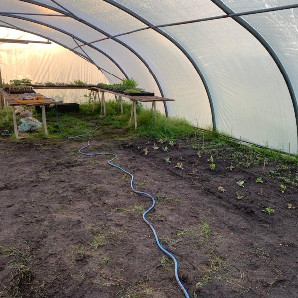 Nieuwe Bodem - duurzaam walnoten hazelnoten biodiversiteit agrobosbouw 189