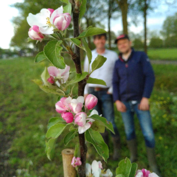 Nieuwe Bodem - duurzaam walnoten hazelnoten biodiversiteit agrobosbouw 190