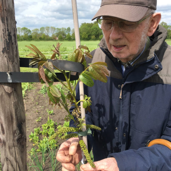 Nieuwe Bodem - duurzaam walnoten hazelnoten biodiversiteit agrobosbouw 191