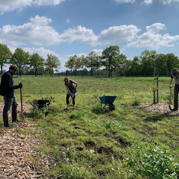 Nieuwe Bodem - duurzaam walnoten hazelnoten biodiversiteit agrobosbouw 193