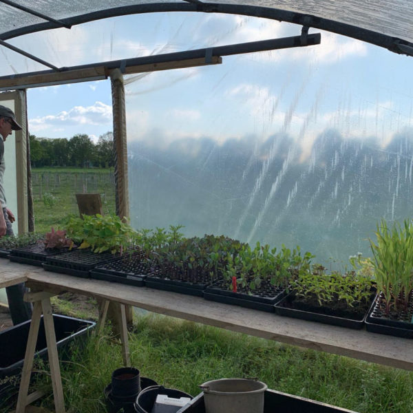 Nieuwe Bodem - duurzaam walnoten hazelnoten biodiversiteit agrobosbouw 196