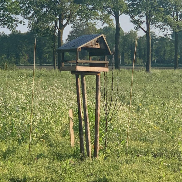Nieuwe Bodem - duurzaam walnoten hazelnoten biodiversiteit agrobosbouw 199