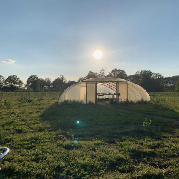 Nieuwe Bodem - duurzaam walnoten hazelnoten biodiversiteit agrobosbouw 200