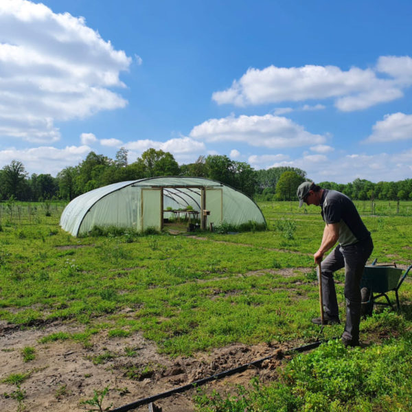 Nieuwe Bodem - duurzaam walnoten hazelnoten biodiversiteit agrobosbouw 207