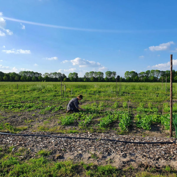 Nieuwe Bodem - duurzaam walnoten hazelnoten biodiversiteit agrobosbouw 210