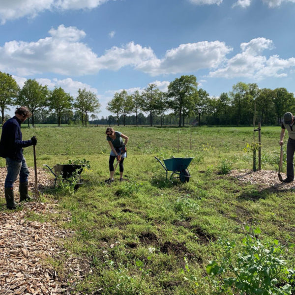 Nieuwe Bodem - duurzaam walnoten hazelnoten biodiversiteit agrobosbouw 212