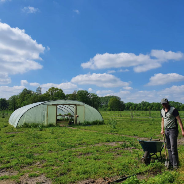 Nieuwe Bodem - duurzaam walnoten hazelnoten biodiversiteit agrobosbouw 213