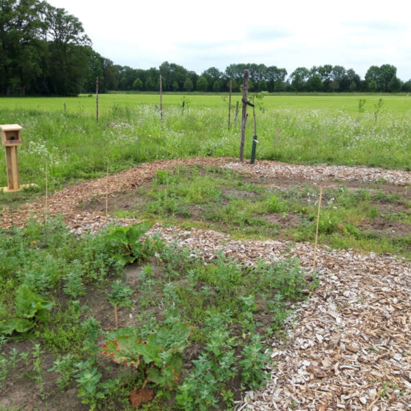 Nieuwe Bodem - duurzaam walnoten hazelnoten biodiversiteit agrobosbouw 220