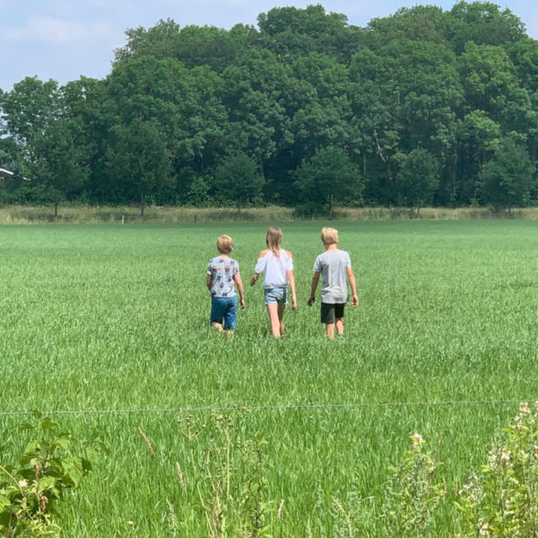 Nieuwe Bodem - duurzaam walnoten hazelnoten biodiversiteit agrobosbouw 236