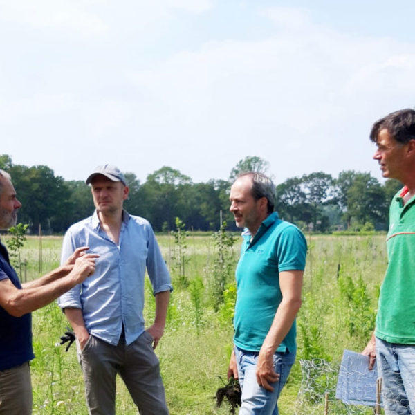 Nieuwe Bodem - duurzaam walnoten hazelnoten biodiversiteit agrobosbouw 243