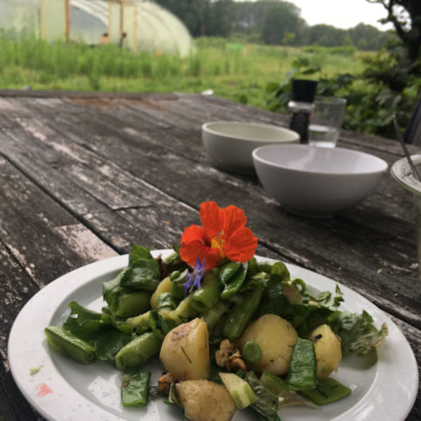 Nieuwe Bodem - duurzaam walnoten hazelnoten biodiversiteit agrobosbouw 245