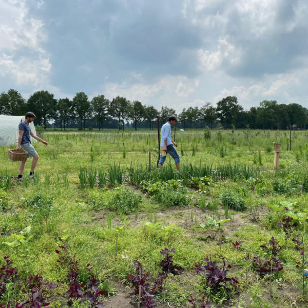 Nieuwe Bodem - duurzaam walnoten hazelnoten biodiversiteit agrobosbouw 250