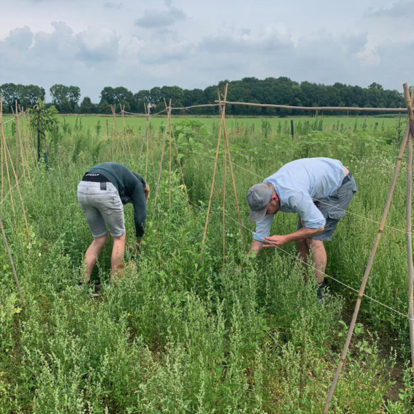 Nieuwe Bodem - duurzaam walnoten hazelnoten biodiversiteit agrobosbouw 262