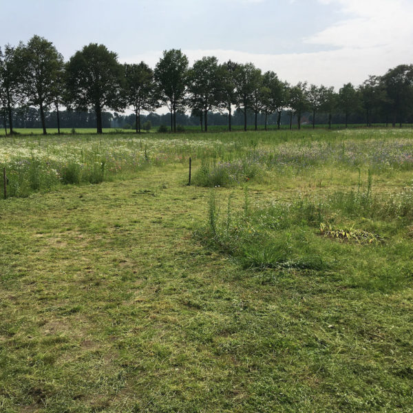 Nieuwe Bodem - duurzaam walnoten hazelnoten biodiversiteit agrobosbouw 268