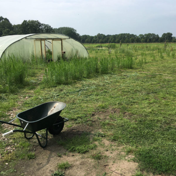 Nieuwe Bodem - duurzaam walnoten hazelnoten biodiversiteit agrobosbouw 269