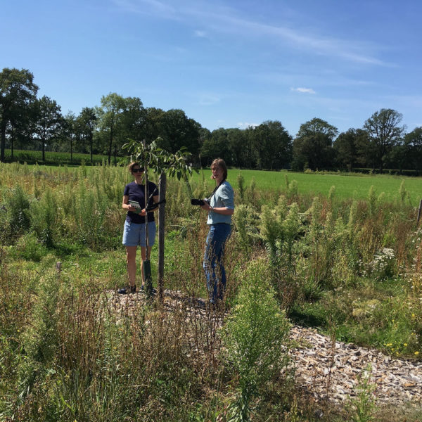 Nieuwe Bodem - duurzaam walnoten hazelnoten biodiversiteit agrobosbouw 291