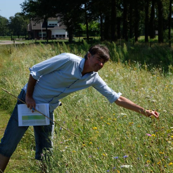 Nieuwe Bodem - duurzaam walnoten hazelnoten biodiversiteit agrobosbouw 299