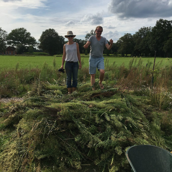 Nieuwe Bodem - duurzaam walnoten hazelnoten biodiversiteit agrobosbouw 305