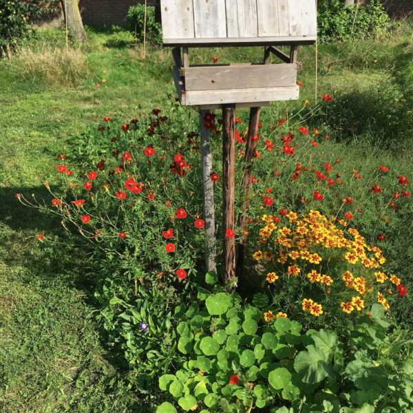 Nieuwe Bodem - duurzaam walnoten hazelnoten biodiversiteit agrobosbouw 313