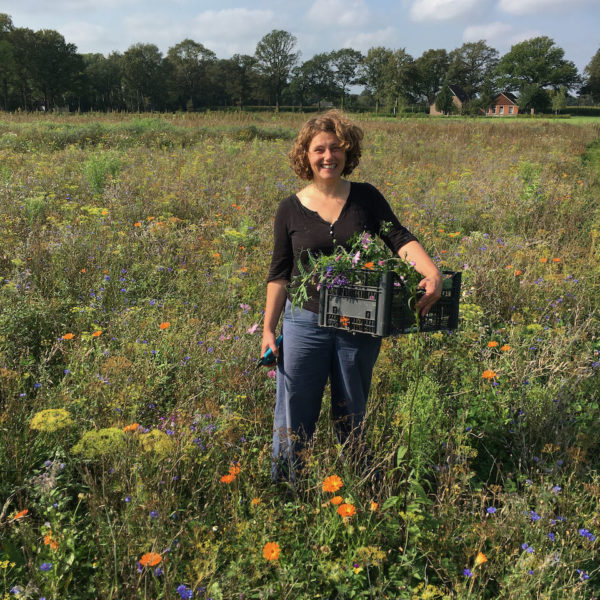 Nieuwe Bodem - duurzaam walnoten hazelnoten biodiversiteit agrobosbouw 327