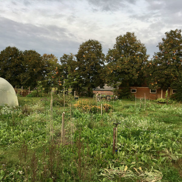 Nieuwe Bodem - duurzaam walnoten hazelnoten biodiversiteit agrobosbouw 330