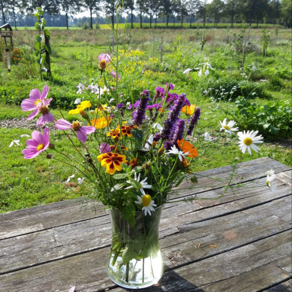 Nieuwe Bodem - duurzaam walnoten hazelnoten biodiversiteit agrobosbouw 332