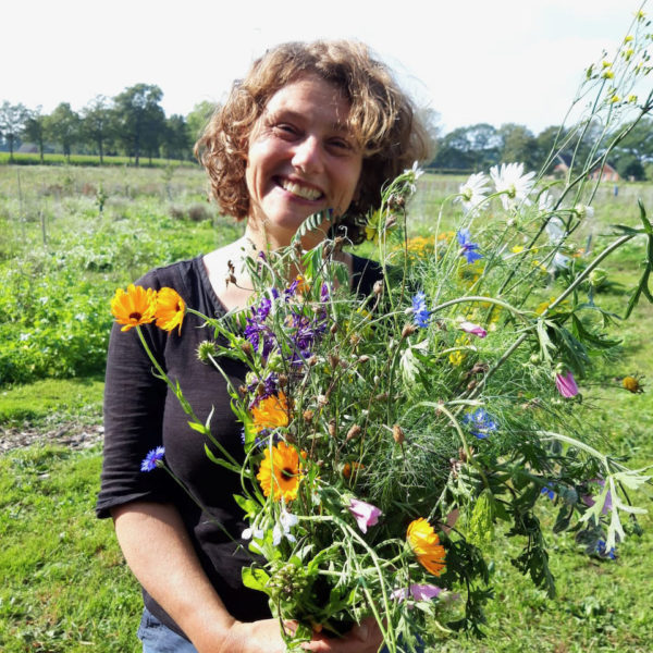 Nieuwe Bodem - duurzaam walnoten hazelnoten biodiversiteit agrobosbouw 333