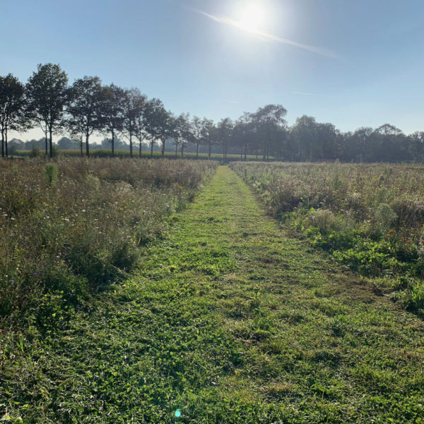 Nieuwe Bodem - duurzaam walnoten hazelnoten biodiversiteit agrobosbouw 340