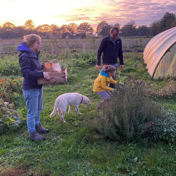 Nieuwe Bodem - duurzaam walnoten hazelnoten biodiversiteit agrobosbouw 345