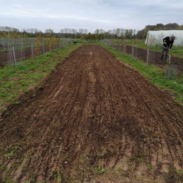 Nieuwe Bodem - duurzaam walnoten hazelnoten biodiversiteit agrobosbouw 354