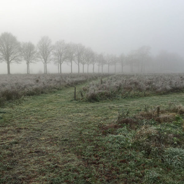 Nieuwe Bodem - duurzaam walnoten hazelnoten biodiversiteit agrobosbouw 357