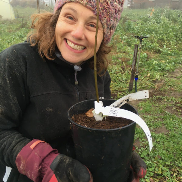 Nieuwe Bodem - duurzaam walnoten hazelnoten biodiversiteit agrobosbouw 361