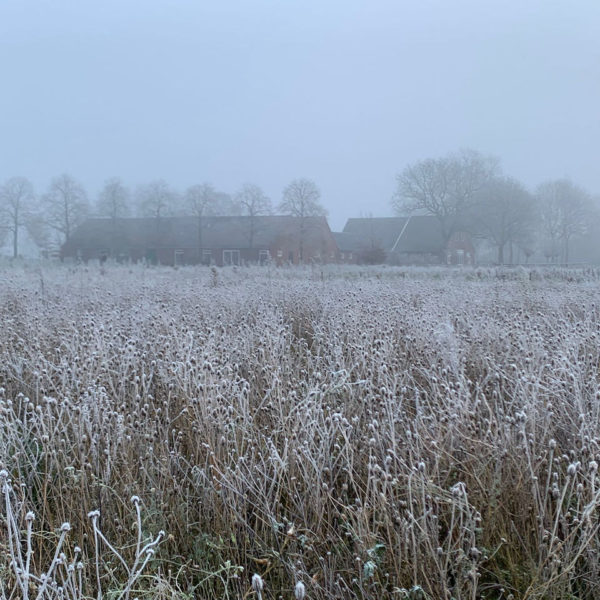 Nieuwe Bodem - duurzaam walnoten hazelnoten biodiversiteit agrobosbouw 362