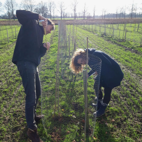 Nieuwe Bodem - duurzaam walnoten hazelnoten biodiversiteit agrobosbouw 366